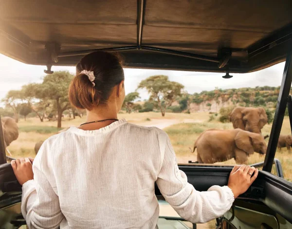 solo-safari_africa